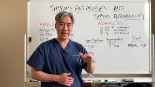 Thyroid Antibodies and Autoimmunity. How to tests for Hashimoto's Thyroiditis and Grave's Disease.