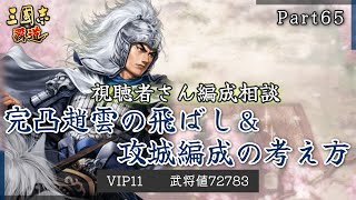 【三國志覇道】編成相談Part65　LR趙雲完凸の使い方 会心発生率をどうする？？