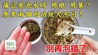 蒲公英泡水時，用根好，還是用葉好？原來兩個的功效大不同！別再泡錯了！