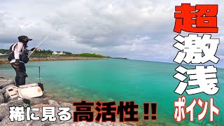 【爆釣】浅場ポイントでフカセ釣りしたら大漁でした。