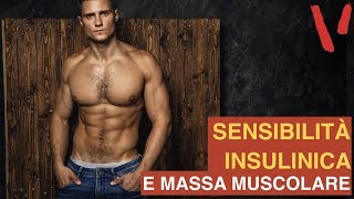 Massa muscolare: perchè è importante la sensibilità insulinica