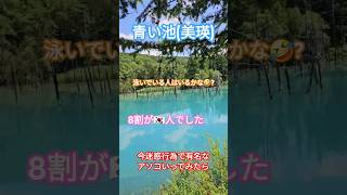 2024.8.1晴れ男💕青い池でも発揮👍泳いでいる人告発しようと行ってみるも🍀🍀#青い池#迷惑行為#korea#晴れ #素敵#炎上野郎#kenzo#迷惑行為撲滅#パトロール#