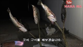 고양이의 배스 구이 먹방!