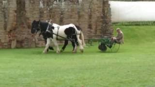 2016.05.01 (03) 'Horse Power' Event at Kenilworth Castle, England