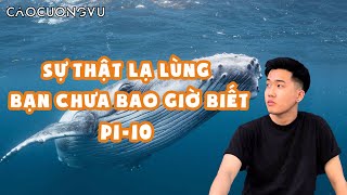 Tổng hợp (P1-P10) | Sự thật lạ lùng bạn chưa bao giờ biết | Caocuongvu