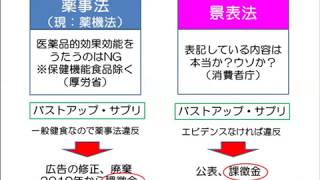 【薬事革命】バストアップ サプリ 広告～薬事法と景表法は、どうちがう？広告テクニック（RCTジャパン）