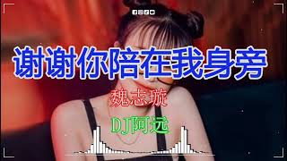 魏志璇 - 谢谢你陪在我身旁(DJ阿远 Dance Mix 国语女) 搜索最多的混音歌曲