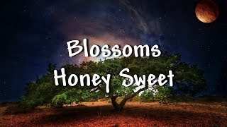 Blossoms - Honey Sweet - Lyrics