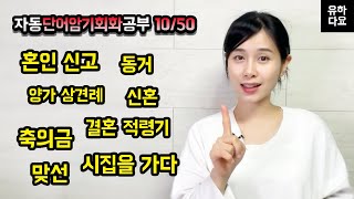 [50일챌린지 10일차] 따라 말하면 바로 외워집니다 일본어 단어/ 일본어 회화