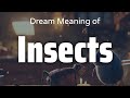 Insects Dream Meaning & Symbolism | Interpretation Psychology