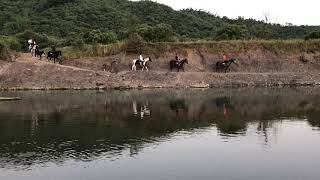 悠客騎馬涉溪