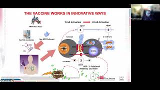 Imugene's Science Series: PD1-Vaxx | B cell immunotherapy