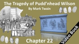 Chapter 22 - The Tragedy of Pudd'nhead Wilson by Mark Twain - Conclusion