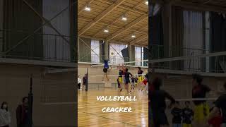 【volleyballcracker】時間差攻撃#バレーボール #volleyball #shorts #社会人バレー