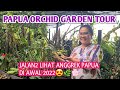 PAPUA ORCHIDS TOUR || TOUR ANGGREK PAPUA DI AWAL TAHUN 2022