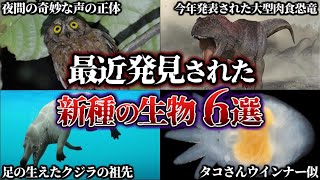 【ゆっくり解説】びっくり！最近発見された新種の生物6選！