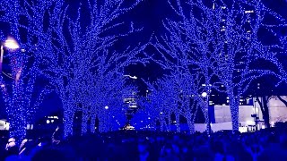 青の洞窟　２０２２【4K 東京　イルミネーション】Illumination in Japan