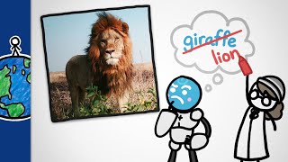 Can AI Help Us Identify Animals?