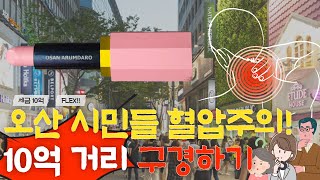 오산 시민들 혈압주의! 10억 거리 구경하기! 경기도 오산 아름다로거리 세금 flex 현장 - 김명철의 놈놈놈TV