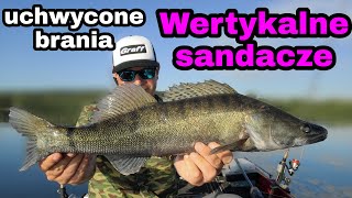 Wertykalne sandacze uchwycone brania #Graff #SewroCustomBait #VerticalJigging