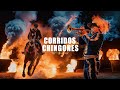 Los 50 Mejores Puros Corridos Chingones Mexicanos Más Famosos