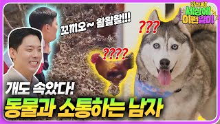 개도 홀리는 특이한 소리는?┃와!진짜? 세상에 이런일이┃A Strange Sound That Even Can Lure Dogs