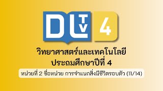 หน่วยที่ 2 ชื่อหน่วย การจำแนกสิ่งมีชีวิตรอบตัว (11/14)