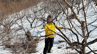 자연농 혜림원의 한해 농사 준비: 전정(剪定)