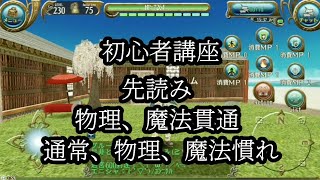 【トーラムオンライン】初心者講座⑦  先読み   物理、魔法貫通   通常、物理、魔法慣れについて