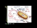 10901高一必修生物ch2 3 05什麼是細菌的質體一讓