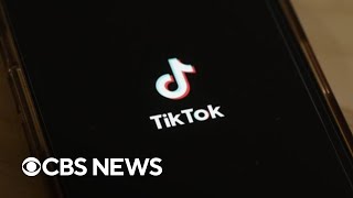 Why the Supreme Court unanimously upheld the TikTok ban in the U.S.