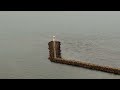 seabreeze 2024 rochester ny usa irondequoit bay at lake ontario drone footage glenesis