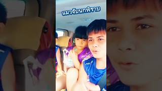 แมวจับนกพิราบ #บังเอิญเจอ #funny #การแสดงเท่านั้น