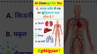 मानव शरीर में रक्त का शुद्धिकरण कहां होता है || #gk #human #blood #gkquiz #shorts