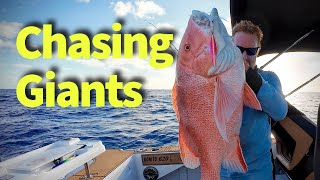 Chasing GIANT FISH with OFFSHORE ADVENTURES! Epic Underwater Footage!