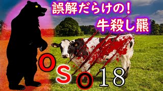 【OSO18】牛殺しから学ぶ!どこよりも詳しいヒグマ解説動画 前編 Brown bear killing cows 4K