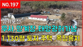 (매물번호197번)우사,양계장,태양광허가남 1,130평 주택 목장용지