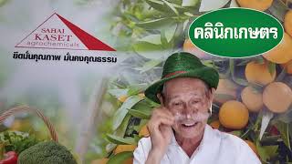 คลินิกเกษตร LIVE EP03 03 09 2564