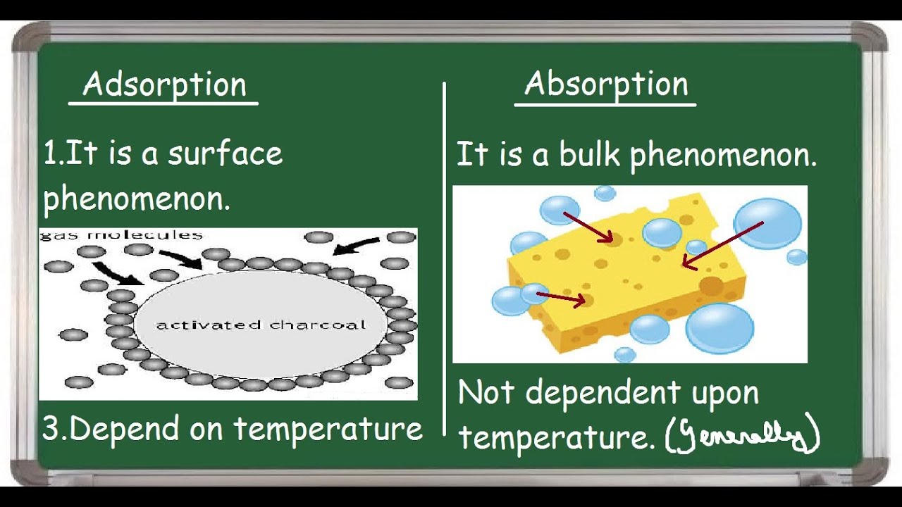 Adsorption Vs Absorption (Differences) - YouTube