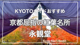 【京都紅葉】「もみじの永観堂」はやっぱり凄い！