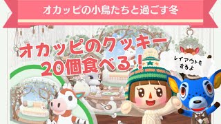 【ポケ森コンプリート】新クッキー【オカッピの小鳥たちと過ごす冬】食べてレイアウト。欲しいアイテムゲット出来るかな？！【どうぶつの森ポケットキャンプコンプリート】