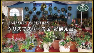 クリスマスリース\u0026寄植え展2022