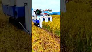 Kubota mini harvester || Osaka mini combine harvester #shorts #shortvideo #combine #harvester