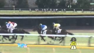 2013年 3歳新馬 / コメットシーカー