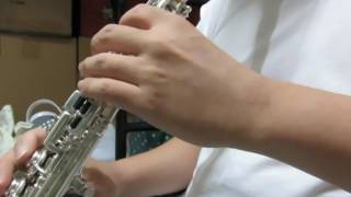 陪著你走 (soprano saxophone)