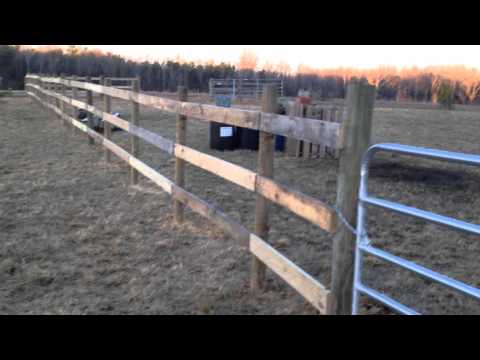 Prepper Life / BUILDING FENCE CHEAP!. / MR. FIX- ALL Prepper Life / BUILDING FENCE CHEAP!. / MR. FIX- ALL