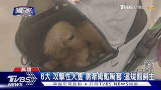 #獨家 帶1歲童逛百貨!遇比特犬「沒牽繩沒戴口罩」控飼主不管｜TVBS新聞 @TVBSNEWS01