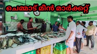 ഏത് മീനും ഇവിടെ കിട്ടും | Chemmad fish market | fish cutting skills | fish curry | fish fry | fish