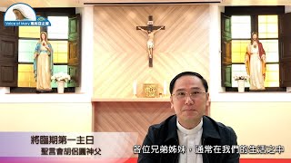 每日聖言分享【將臨期第一主日（谷　13:33-37）】 聖言會胡侶圓神父