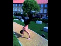 handstand press